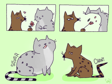 A fat gray cat, Silver, sits with a sharp, skinny brown cat, Chani. Above them is a comic depicting Chani giving Silver a flower, who proceeds to inhale it.