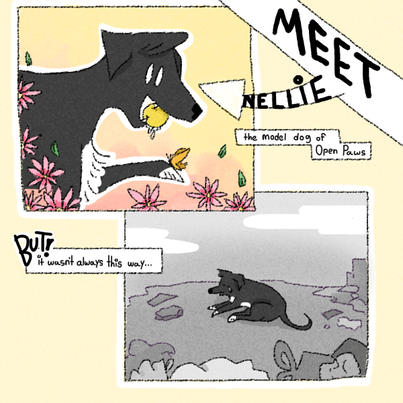 A dog comic, with text that reads: 
